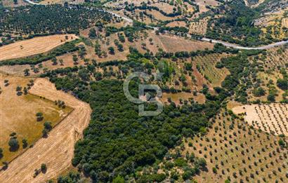 ÇANAKKALE EZİNE TAVAKLIDA FIRSAT TARLA