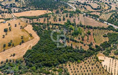 ÇANAKKALE EZİNE TAVAKLIDA FIRSAT TARLA