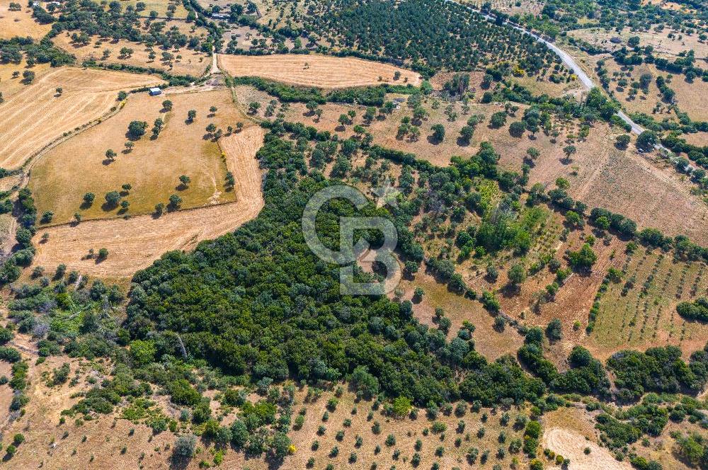 ÇANAKKALE EZİNE TAVAKLIDA FIRSAT TARLA