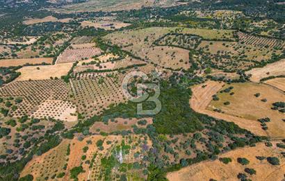 ÇANAKKALE EZİNE TAVAKLIDA FIRSAT TARLA