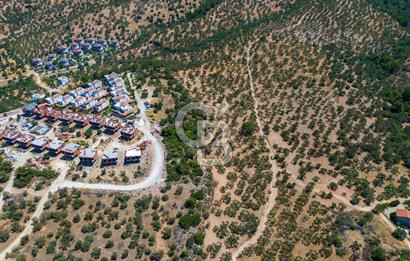 ÇANAKKALE TAVAKLI SAHİLDE İMAR SINIRINDA SATILIK 19 DÖNÜM ARAZİ