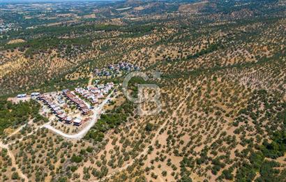 ÇANAKKALE TAVAKLI SAHİLDE İMAR SINIRINDA SATILIK 19 DÖNÜM ARAZİ