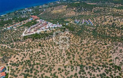 ÇANAKKALE TAVAKLI SAHİLDE İMAR SINIRINDA SATILIK 19 DÖNÜM ARAZİ