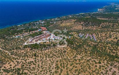 ÇANAKKALE TAVAKLI SAHİLDE İMAR SINIRINDA SATILIK 19 DÖNÜM ARAZİ