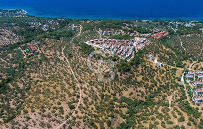 ÇANAKKALE TAVAKLI SAHİLDE İMAR SINIRINDA SATILIK 19 DÖNÜM ARAZİ