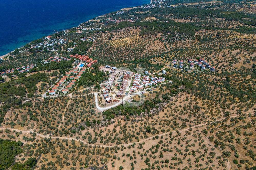 ÇANAKKALE TAVAKLI SAHİLDE İMAR SINIRINDA SATILIK 19 DÖNÜM ARAZİ