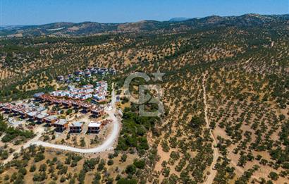 ÇANAKKALE TAVAKLI SAHİLDE İMAR SINIRINDA SATILIK 19 DÖNÜM ARAZİ