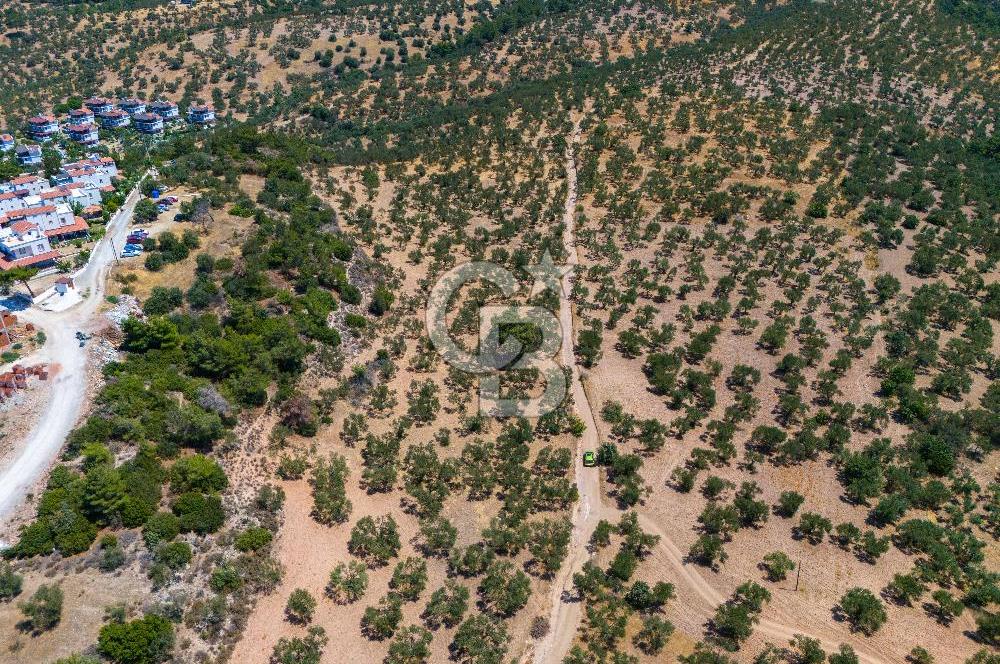 ÇANAKKALE TAVAKLI SAHİLDE İMAR SINIRINDA SATILIK 19 DÖNÜM ARAZİ