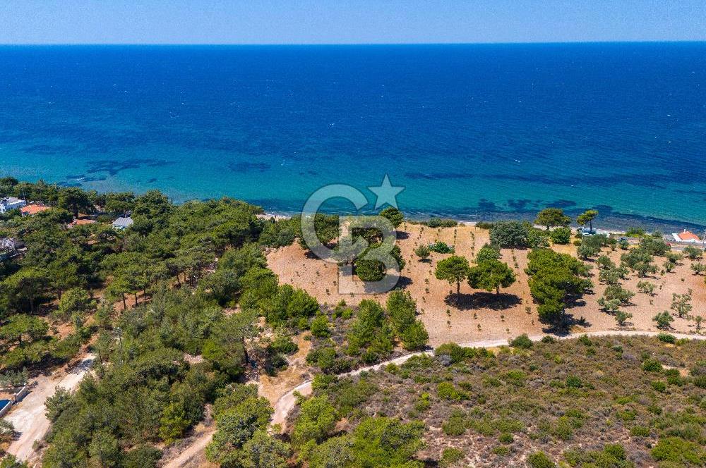 ÇANAKKALE TAVAKLI SAHİLDE İMAR SINIRINDA SATILIK 19 DÖNÜM ARAZİ