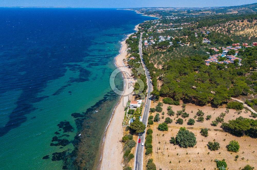 ÇANAKKALE TAVAKLI SAHİLDE İMAR SINIRINDA SATILIK 19 DÖNÜM ARAZİ