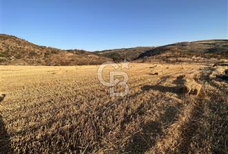 ÇANAKKALE YUKARIOKÇULAR KÖYÜNDE YATIRIMA UYGUN SATILIK TARLA