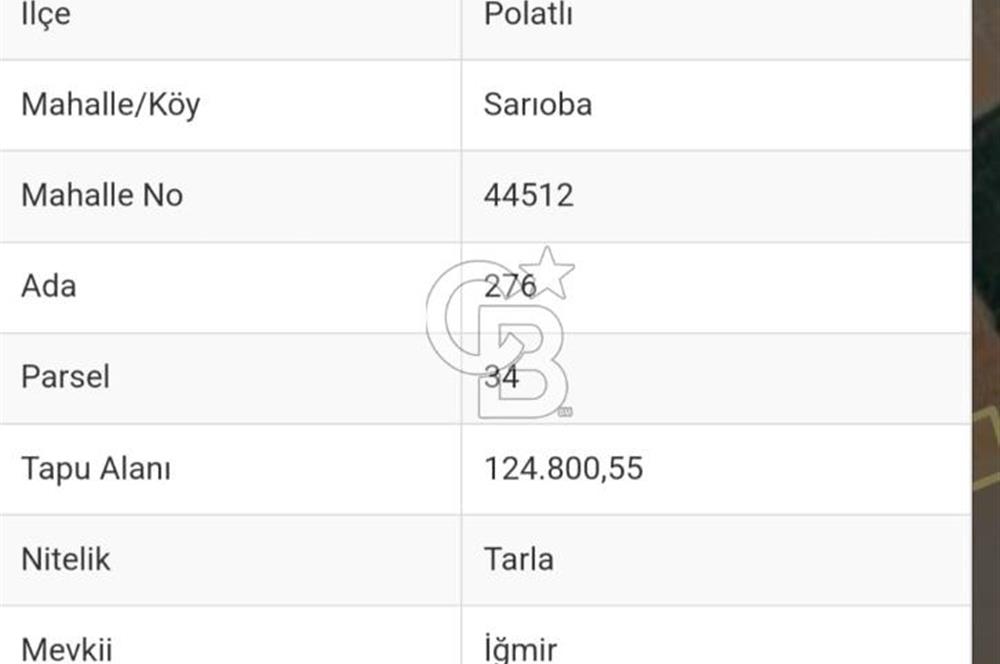 POLATLI SARIOBA DA  SATILIK 1.000 DÖNÜM TARLA