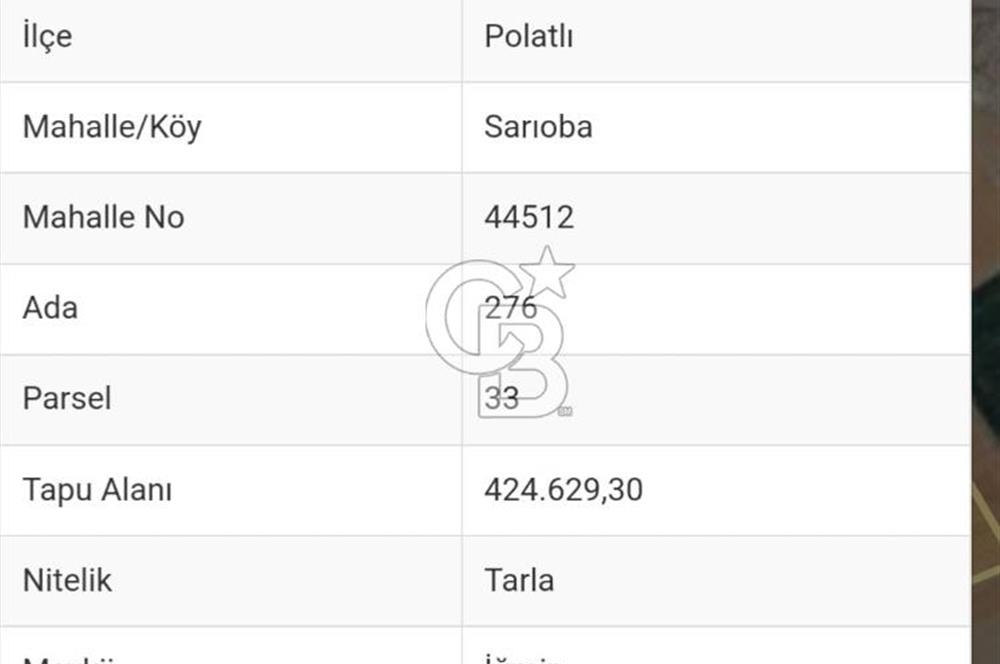 POLATLI SARIOBA DA  SATILIK 1.000 DÖNÜM TARLA