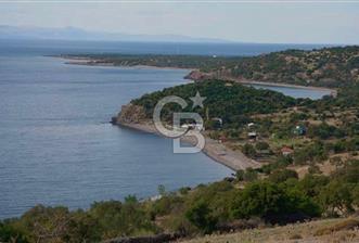 Ayvacık Kuruoba Köyünde Deniz Manzaralı Tarla