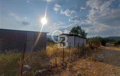 Muğla Menteşe Çırpı Mah Satılık Tarla