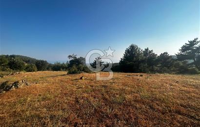 ÇANAKKALE KAZ DAĞLARI ADATEPE'DE DENİZ MANZARALI SATILIK ARSA