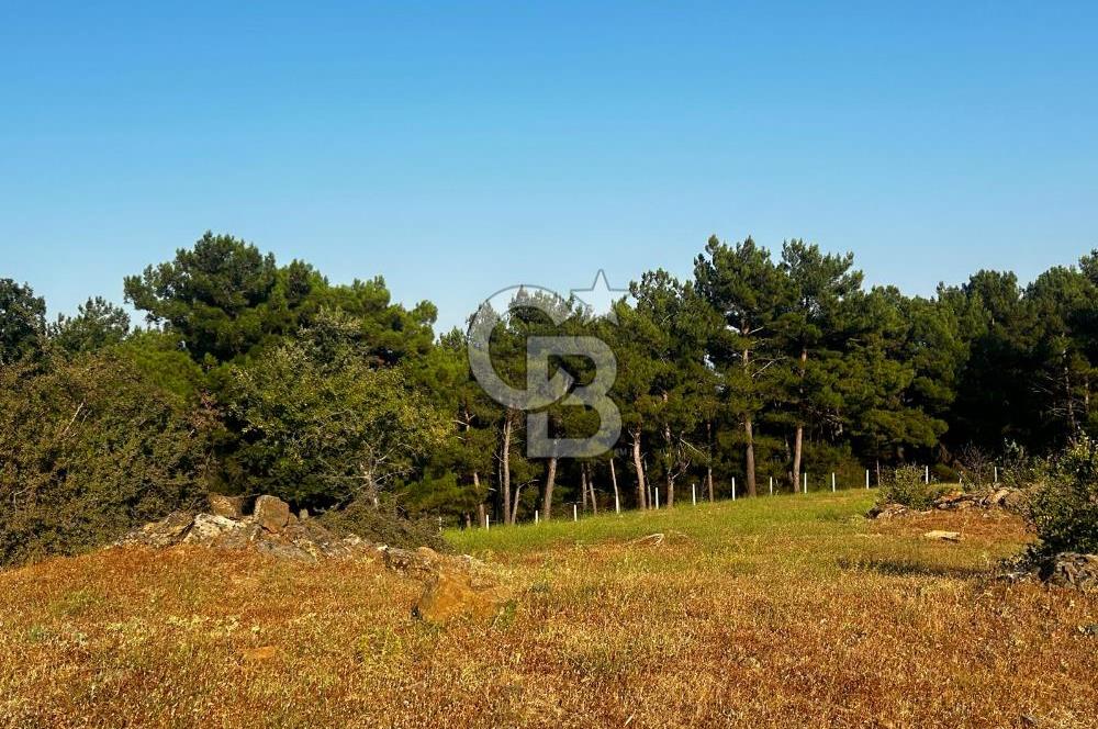 ÇANAKKALE KAZ DAĞLARI ADATEPE'DE DENİZ MANZARALI SATILIK ARSA