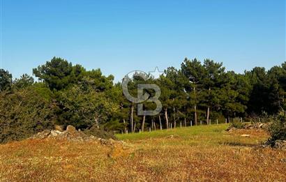 ÇANAKKALE KAZ DAĞLARI ADATEPE'DE DENİZ MANZARALI SATILIK ARSA