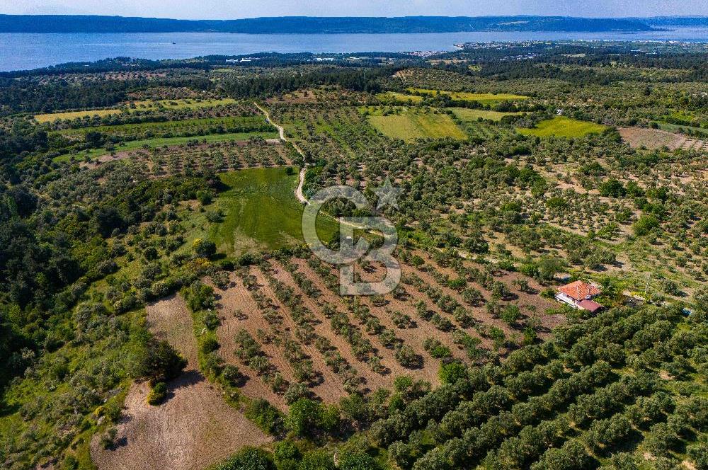 ÇANAKKALE ÇINARLIDA SATILIK İÇERİSİNDE BAĞ EVİ VE 20 DÖNÜM ARAZİ