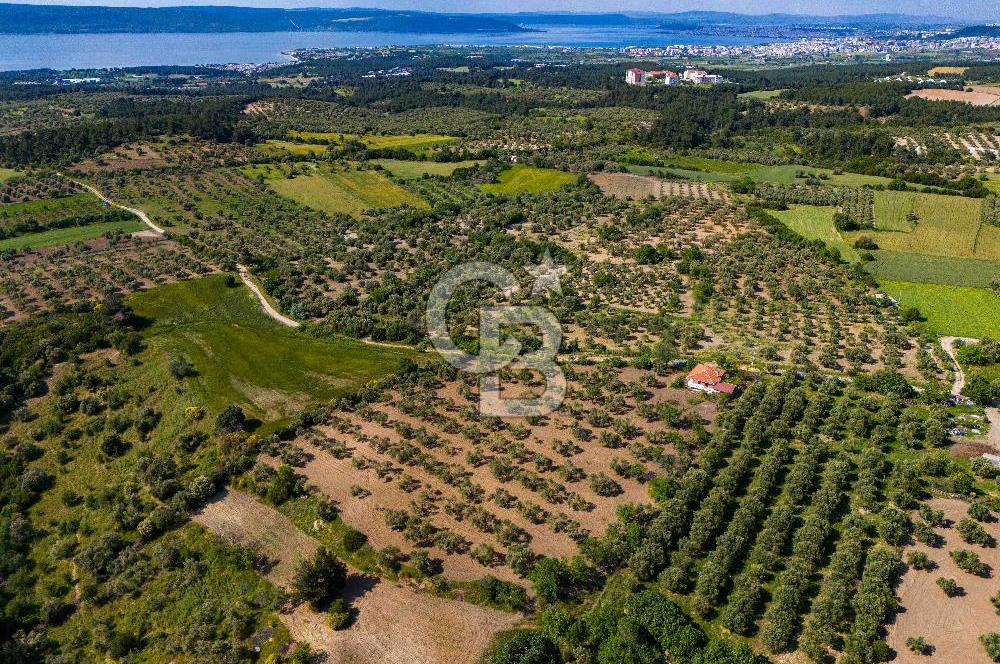 ÇANAKKALE ÇINARLIDA SATILIK İÇERİSİNDE BAĞ EVİ VE 20 DÖNÜM ARAZİ