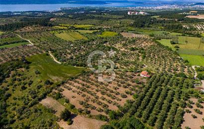 ÇANAKKALE ÇINARLIDA SATILIK İÇERİSİNDE BAĞ EVİ VE 20 DÖNÜM ARAZİ