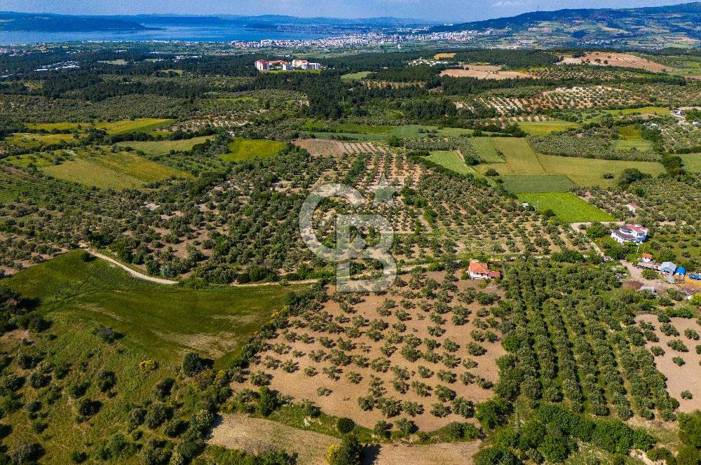 ÇANAKKALE ÇINARLIDA SATILIK İÇERİSİNDE BAĞ EVİ VE 20 DÖNÜM ARAZİ