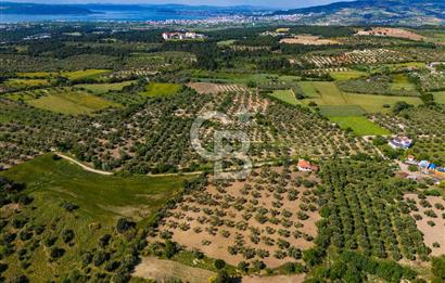 ÇANAKKALE ÇINARLIDA SATILIK İÇERİSİNDE BAĞ EVİ VE 20 DÖNÜM ARAZİ