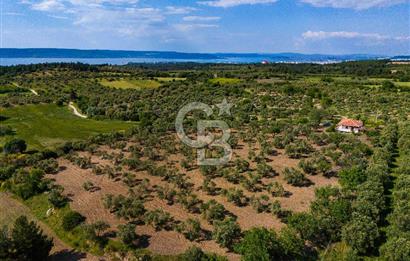 ÇANAKKALE ÇINARLIDA SATILIK İÇERİSİNDE BAĞ EVİ VE 20 DÖNÜM ARAZİ