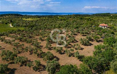 ÇANAKKALE ÇINARLIDA SATILIK İÇERİSİNDE BAĞ EVİ VE 20 DÖNÜM ARAZİ