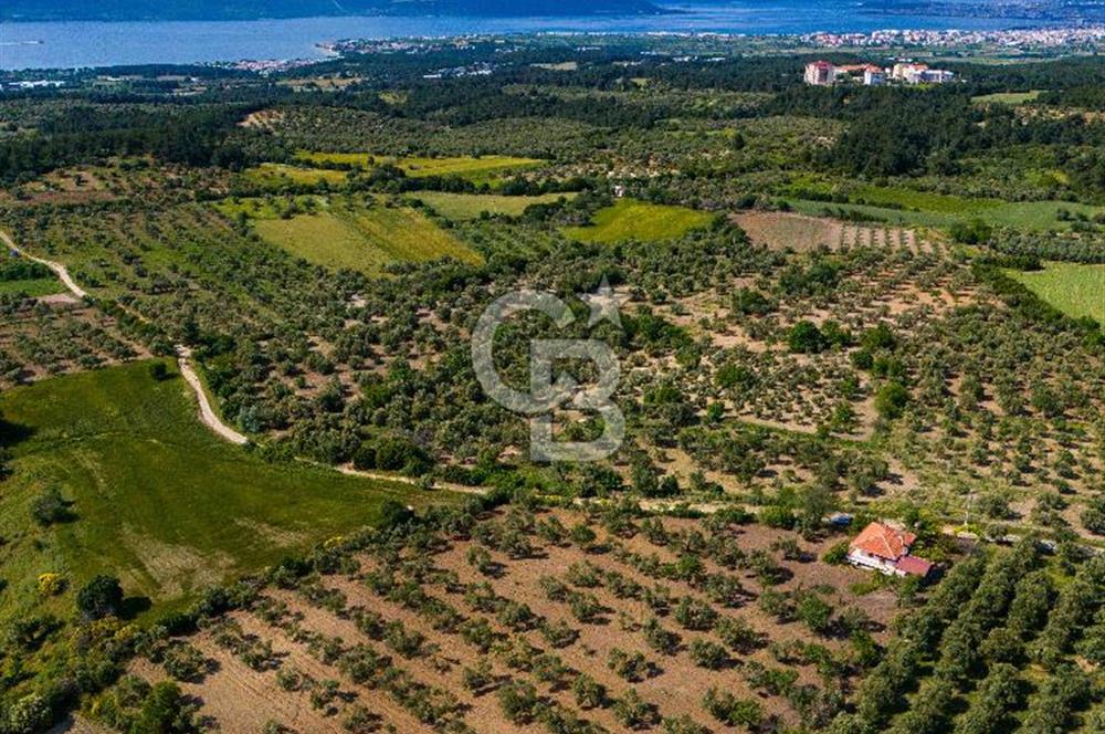 ÇANAKKALE ÇINARLIDA SATILIK İÇERİSİNDE BAĞ EVİ VE 20 DÖNÜM ARAZİ