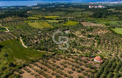 ÇANAKKALE ÇINARLIDA SATILIK İÇERİSİNDE BAĞ EVİ VE 20 DÖNÜM ARAZİ