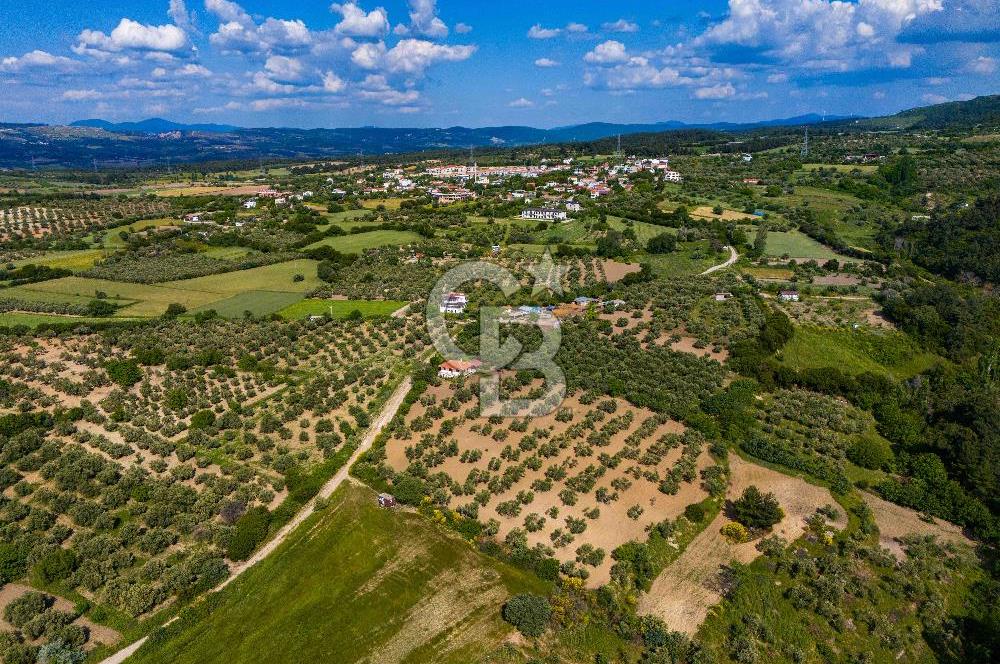 ÇANAKKALE ÇINARLIDA SATILIK İÇERİSİNDE BAĞ EVİ VE 20 DÖNÜM ARAZİ