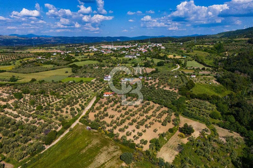 ÇANAKKALE ÇINARLIDA SATILIK İÇERİSİNDE BAĞ EVİ VE 20 DÖNÜM ARAZİ