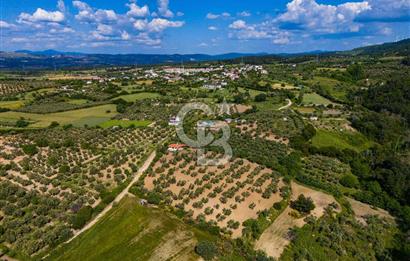 ÇANAKKALE ÇINARLIDA SATILIK İÇERİSİNDE BAĞ EVİ VE 20 DÖNÜM ARAZİ