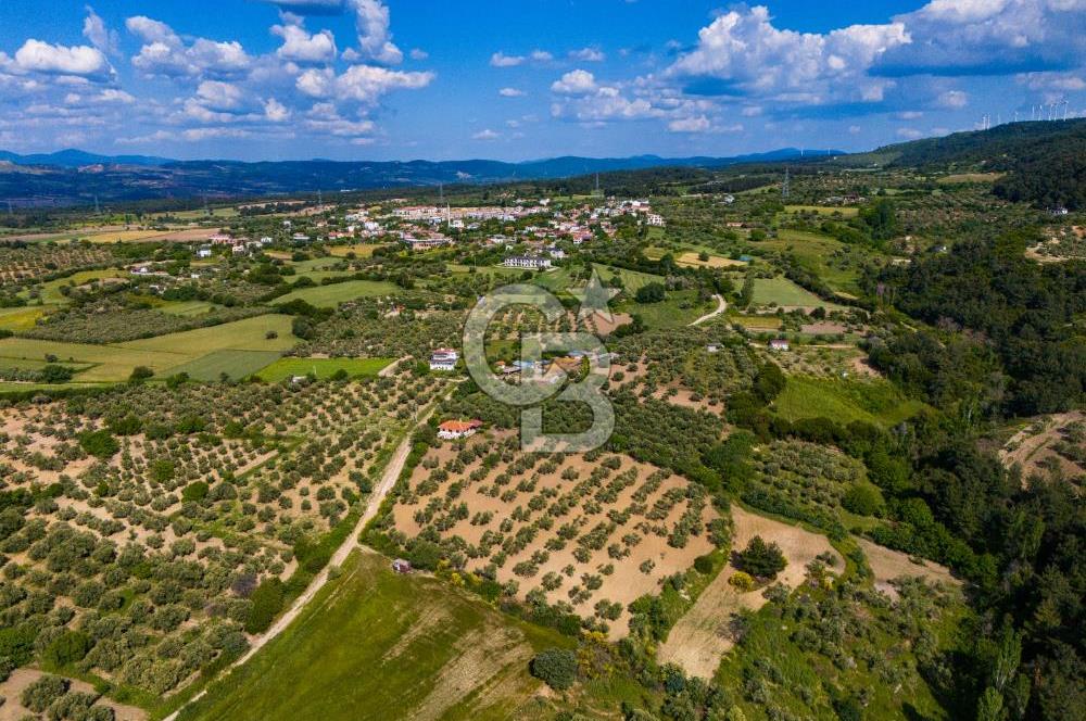 ÇANAKKALE ÇINARLIDA SATILIK İÇERİSİNDE BAĞ EVİ VE 20 DÖNÜM ARAZİ