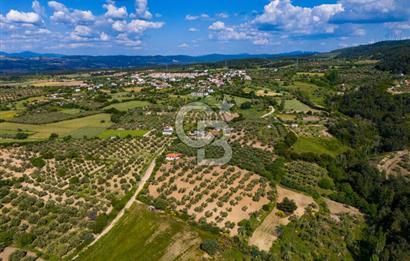 ÇANAKKALE ÇINARLIDA SATILIK İÇERİSİNDE BAĞ EVİ VE 20 DÖNÜM ARAZİ