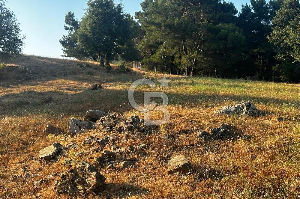 ÇANAKKALE KAZ DAĞLARI ADATEPE'DE DENİZ MANZARALI SATILIK ARSA