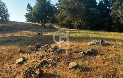 ÇANAKKALE KAZ DAĞLARI ADATEPE'DE DENİZ MANZARALI SATILIK ARSA