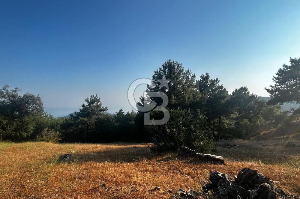 ÇANAKKALE KAZ DAĞLARI ADATEPE'DE DENİZ MANZARALI SATILIK ARSA