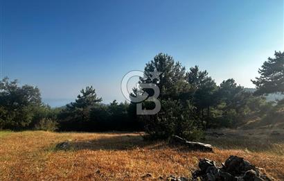 ÇANAKKALE KAZ DAĞLARI ADATEPE'DE DENİZ MANZARALI SATILIK ARSA