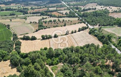 Çanakkale Yenice Seyvan'da Anayol Cepheli Satılık 15581 M² Tarla