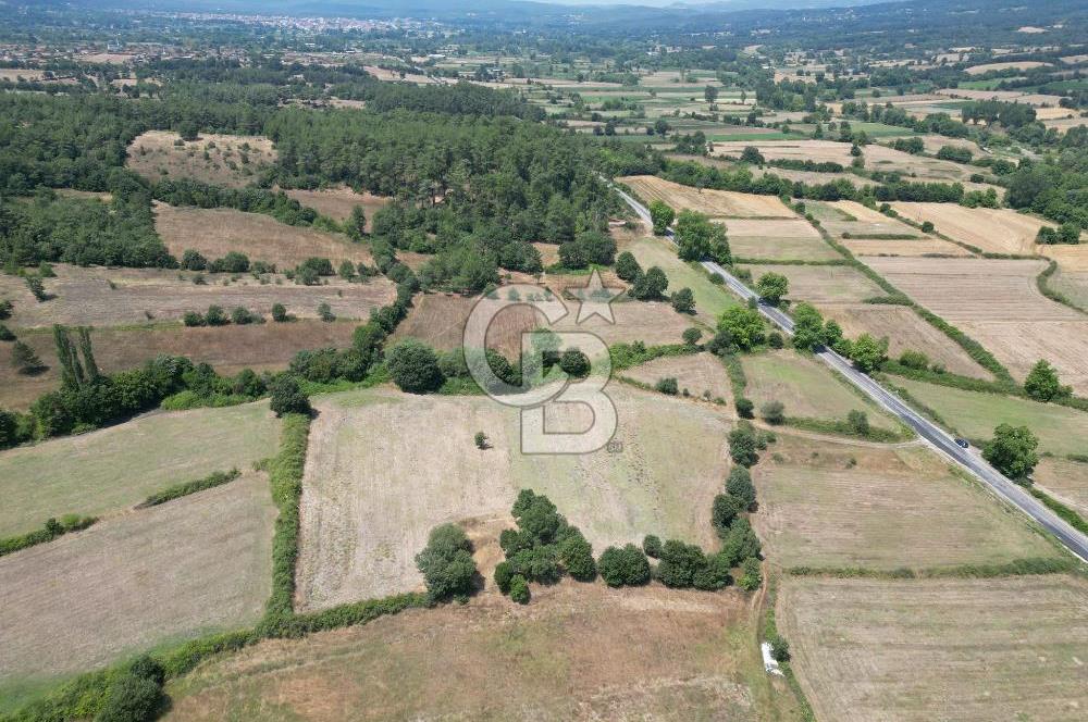 Çanakkale Yenice Seyvan'da Anayol'a Yakın Satılık 12.213M² Tarla