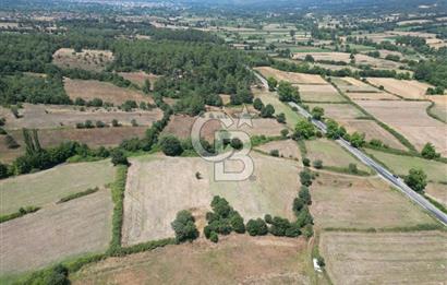 Çanakkale Yenice Seyvan'da Anayol'a Yakın Satılık 12.213M² Tarla