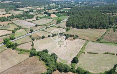 Çanakkale Yenice Seyvan'da Anayol'a Yakın Satılık 12.213M² Tarla