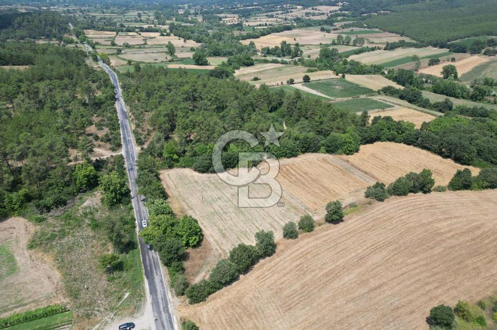 Çanakkale Yenice Seyvan'da Anayol Cepheli Satılık 15581 M² Tarla