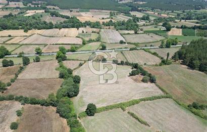 Çanakkale Yenice Seyvan'da Anayol'a Yakın Satılık 12.213M² Tarla