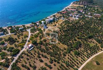 ÇANAKKALE EZİNE TAVAKLIDA SATILIK KÖY İÇİNDE TARLA