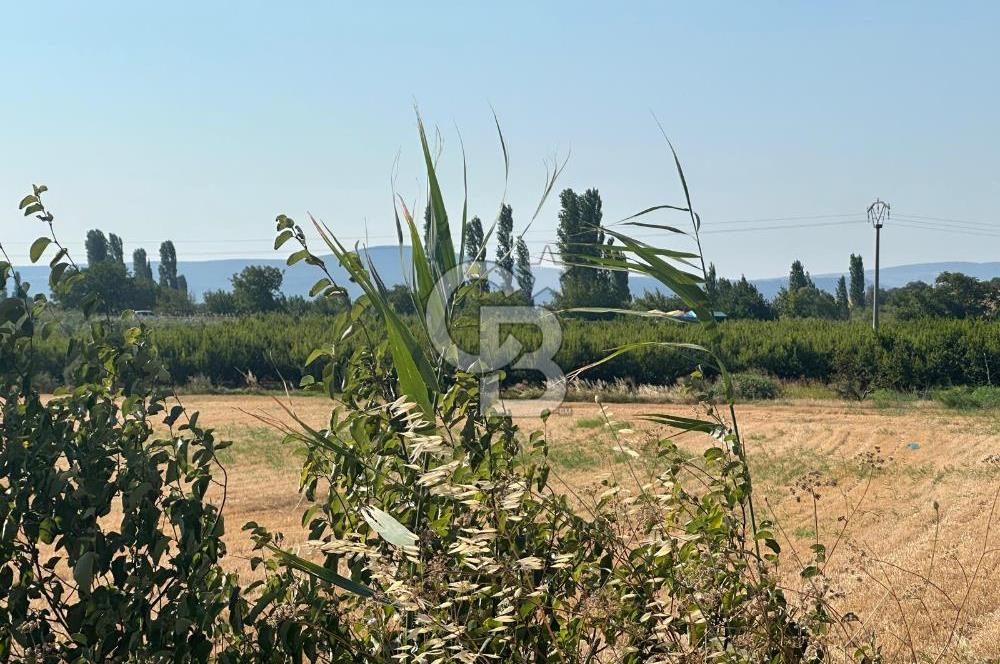 ÇANAKKALE MERKEZ MUSAKÖY DE SATILIK HİSSELİ ARAZİ