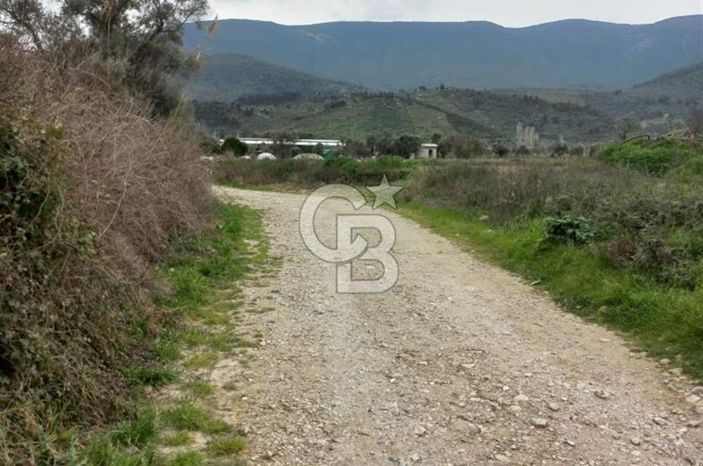 Milas Ekindere’de Yol/Su/Elektrik var. Anayola yakın.