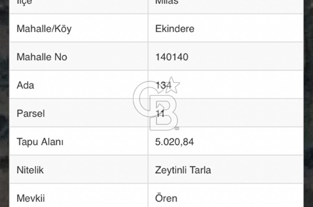 Milas Ekindere’de Yol/Su/Elektrik var. Anayola yakın.